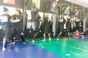 Elite Academy of Martial Arts, est. 2012 image