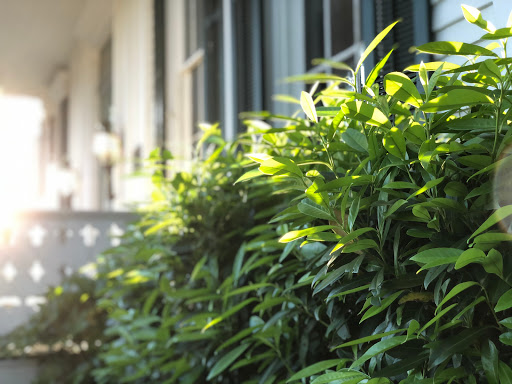 Personal Injury Attorney «Bailey & Greer», reviews and photos