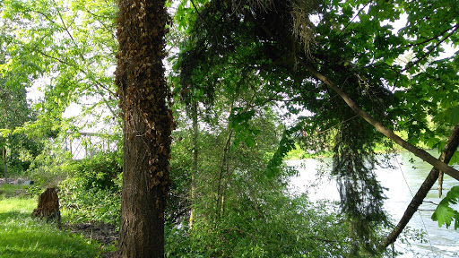 RV Park «Shamrock Village RV Park», reviews and photos, 4531 Franklin Blvd, Eugene, OR 97403, USA