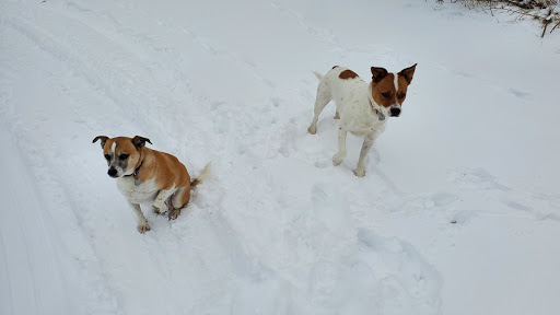 House Cleaning Service «Expert Cleaning Services», reviews and photos, 2215 N Drake Rd, Kalamazoo, MI 49009, USA