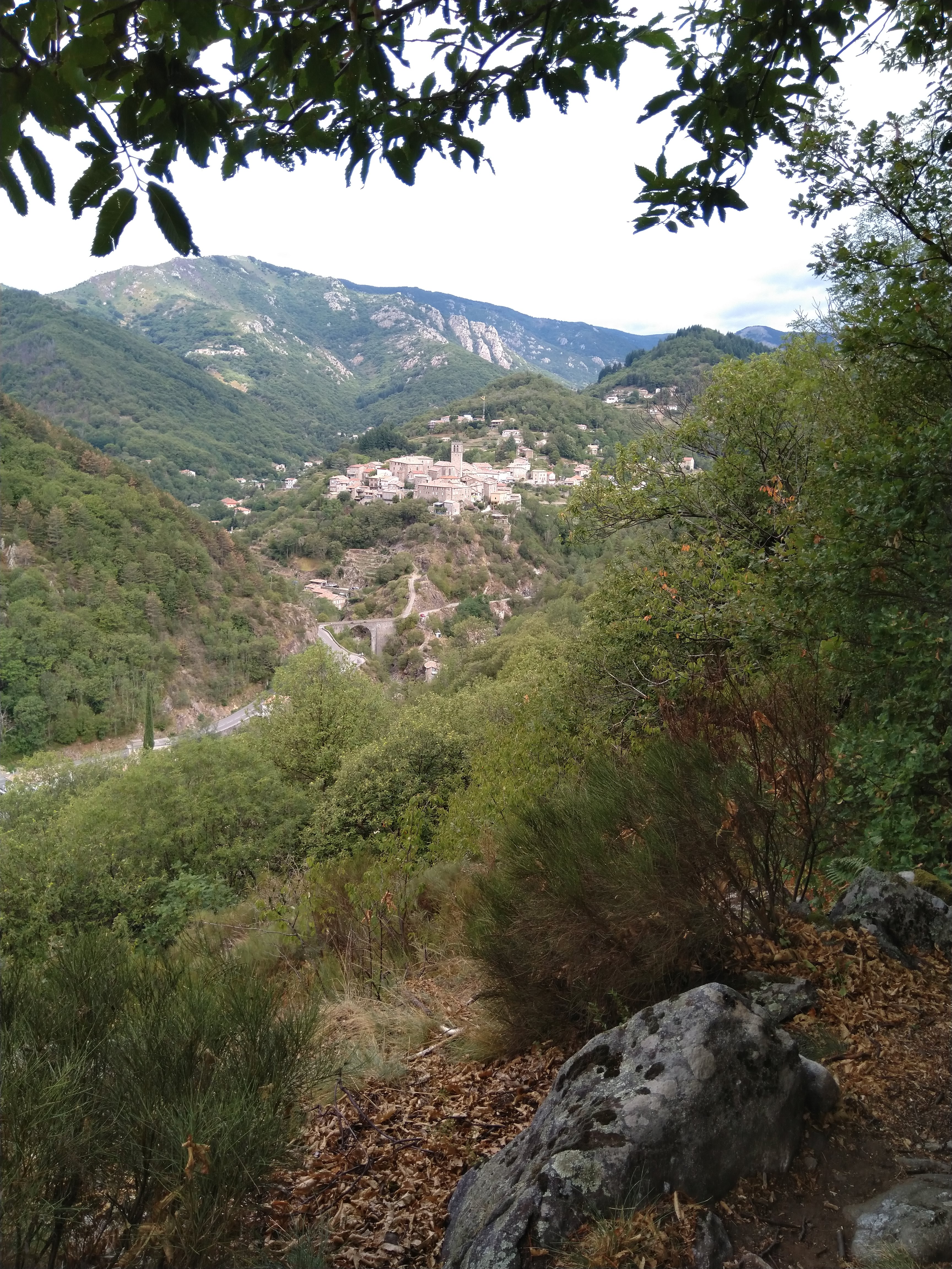 Photo n° 2 de l'avis de luc.e fait le 26/08/2019 à 11:59