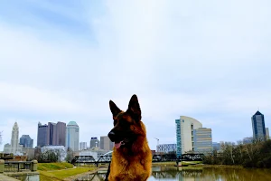 Cap City Canines image