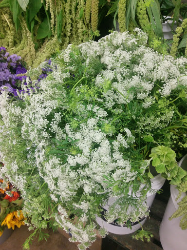 Wholesale Florist «Travis Wholesale Florists», reviews and photos, 240 W Josephine St, San Antonio, TX 78212, USA