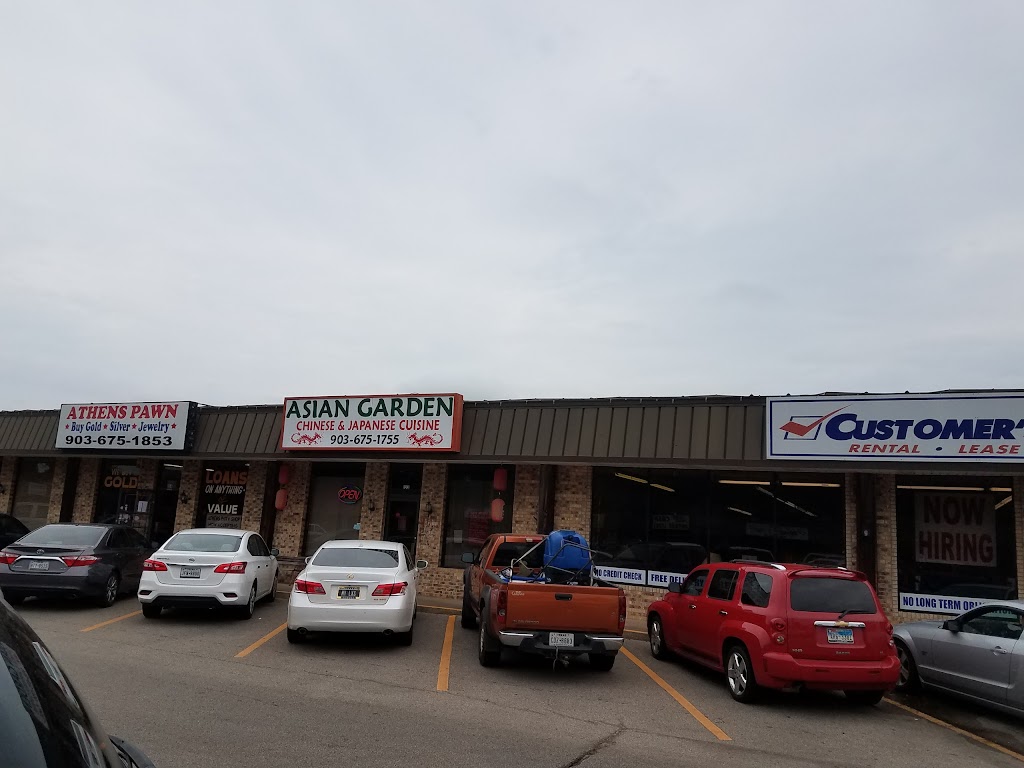 Asian Garden 75751
