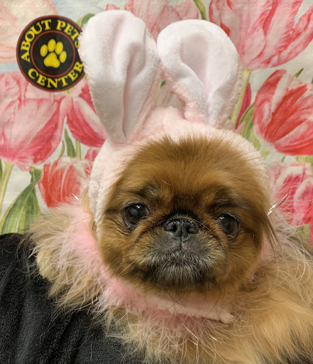 Pet Boarding Service «About Pets Center», reviews and photos, 1604 Conehurst Blvd, Salem, VA 24153, USA