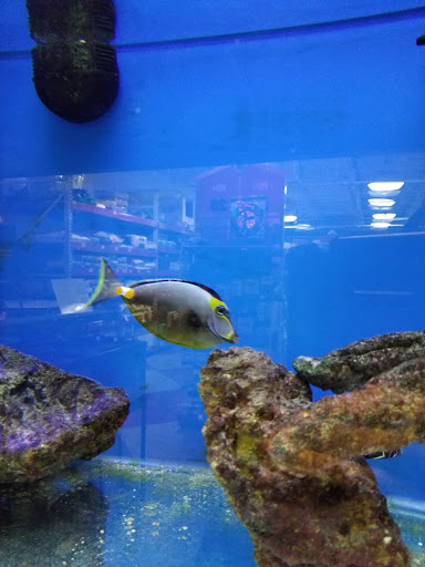 Pet Store «Pet Goods», reviews and photos, 1125 Central Park Ave, Scarsdale, NY 10583, USA