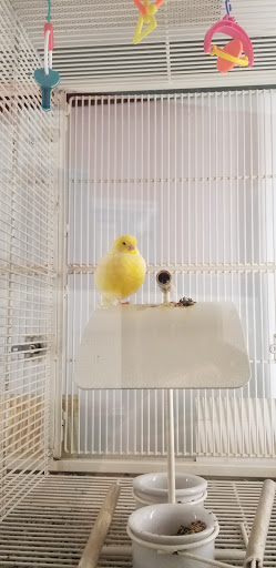 Pet Supply Store «Petco Animal Supplies», reviews and photos, 1610 Avenue Y, Brooklyn, NY 11235, USA