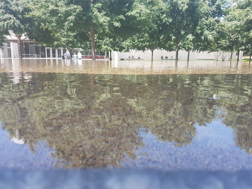 Art Museum «Kimbell Art Museum», reviews and photos, 3333 Camp Bowie Blvd, Fort Worth, TX 76107, USA