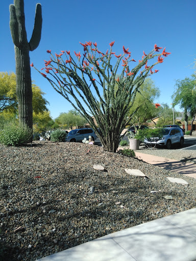 Community Center «Fireside, Norterra Community Center», reviews and photos, 28185 N Melvern Trail, Phoenix, AZ 85085, USA