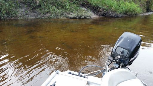 Nature Preserve «Rye Preserve», reviews and photos, 905 Rye Wilderness Trail, Parrish, FL 34219, USA