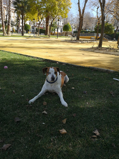 CLINICA VETERINARIA SANTA MARTA