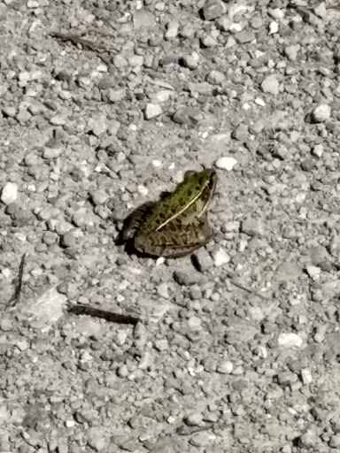 Nature Preserve «Marais Temps Clair Conservation Area», reviews and photos, 5134 Island Road, St Charles, MO 63301, USA