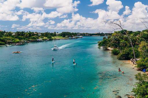 Surf Shop «Blueline Surf & Paddle», reviews and photos, 997 Florida A1A, Jupiter, FL 33477, USA