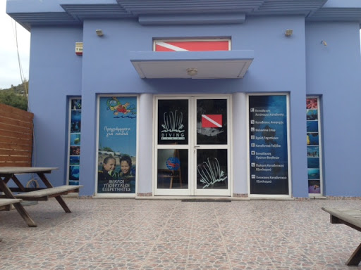 Diving Store