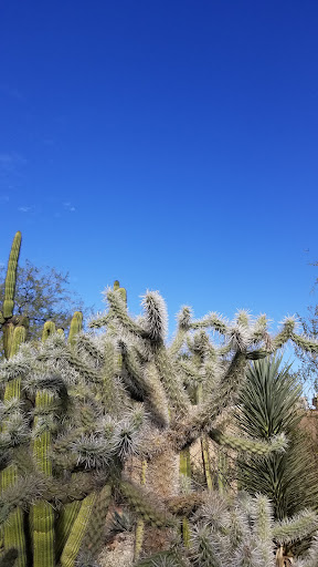 Book Store «Antigone Books», reviews and photos, 411 N 4th Ave, Tucson, AZ 85705, USA