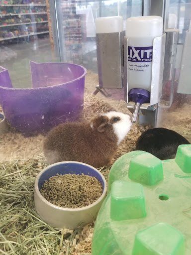 Pet Groomer «We Lov Pets», reviews and photos, 3853 Northpointe Dr, Zanesville, OH 43701, USA