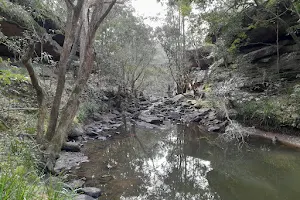 Bomaderry Creek Regional Park image