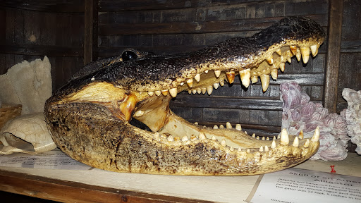 Aquarium «The Aquarium at Rockport Harbor, Inc.», reviews and photos, 706 Navigation Cir, Rockport, TX 78382, USA