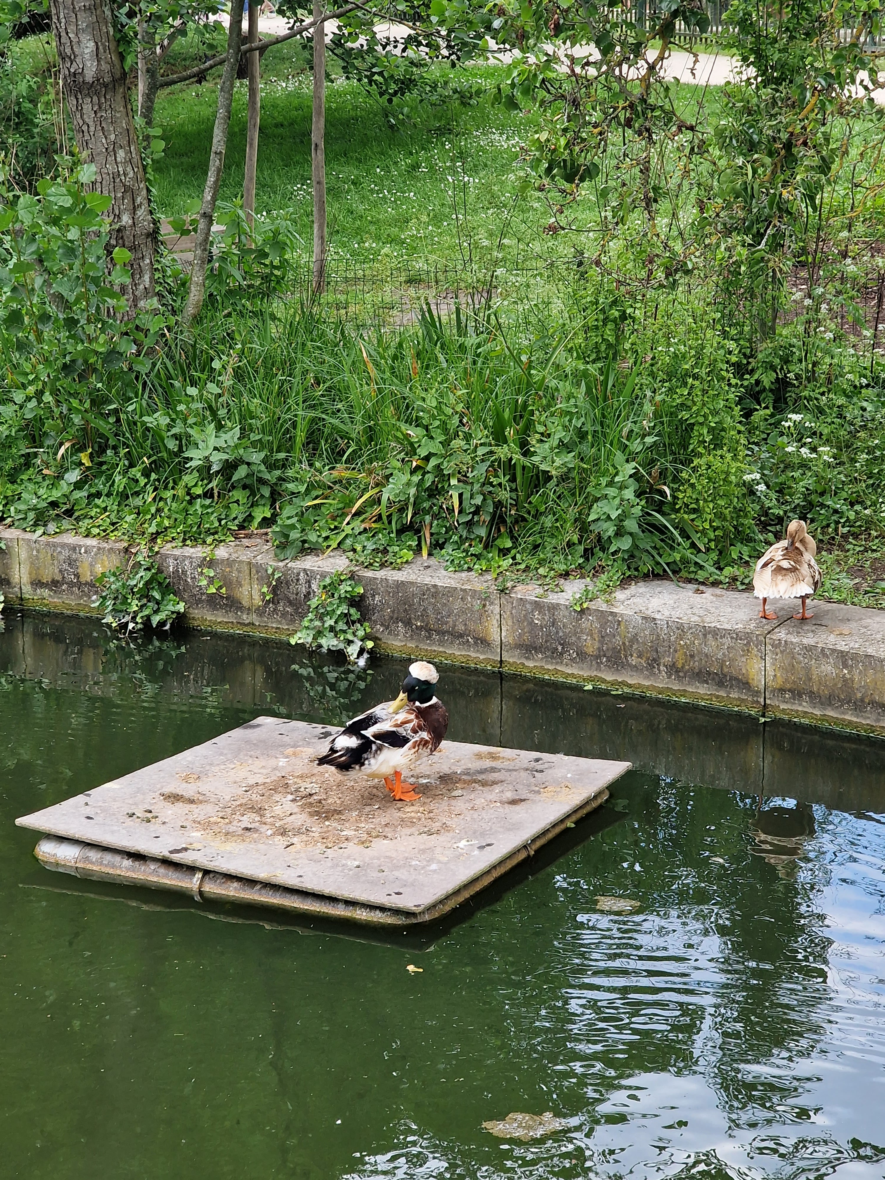 Photo n° 1 de l'avis de Laserostop.a fait le 24/05/2023 à 06:48