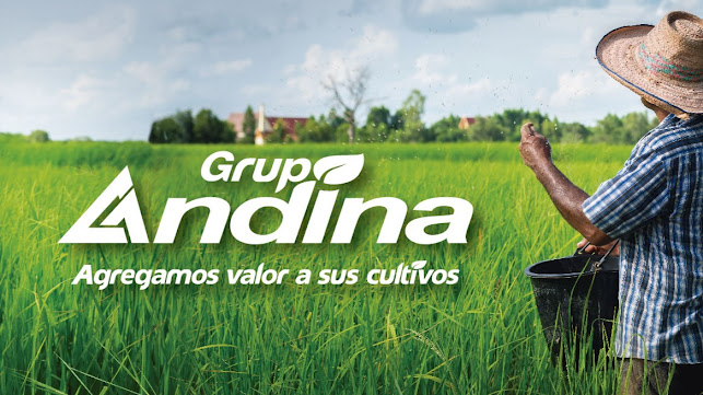 Grupo Andina