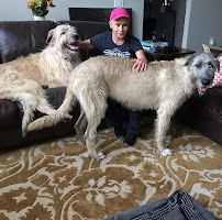 Whiskers to Tails Professional Pet Sitting - Photo 1 - Car repair in , Lorain