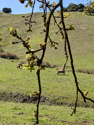 Nature Preserve «Coyote Valley Open Space Preserve», reviews and photos, 550 Palm Ave, Morgan Hill, CA 95037, USA