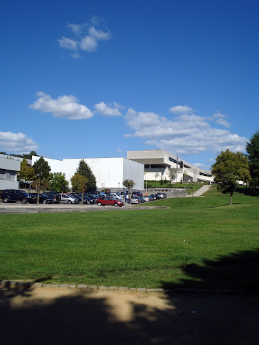Campus de Azurém, Edifício 13, 4800-058 Guimarães, Portugal