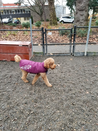 Park «Denny Park», reviews and photos, 100 Dexter Ave N, Seattle, WA 98109, USA