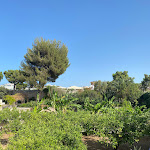 Photo n°7 de l'avis de Paola.i fait le 28/06/2022 à 19:47 sur le  Villa degli Aranci à Polignano a Mare