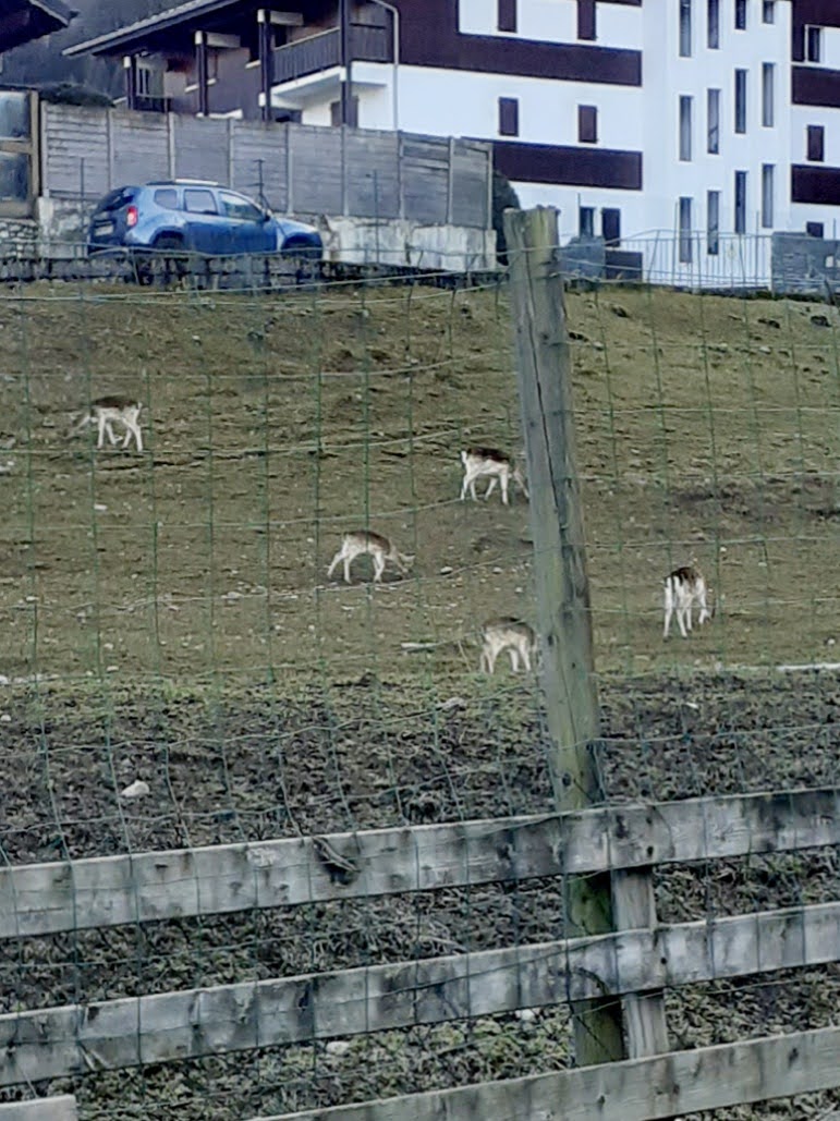 Photo n° 6 de l'avis de Catherine.O fait le 17/03/2023 à 15:25
