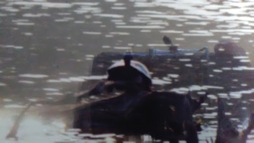 Hiking Area «Cowles Bog Trail», reviews and photos, 1618 N Mineral Springs Rd, Dune Acres, IN 46304, USA