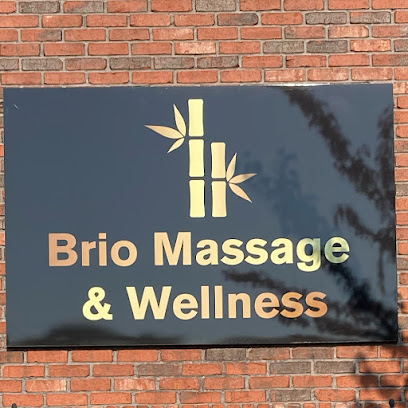 Brio Massage & Wellness