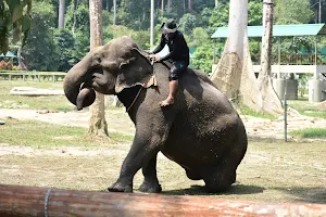 National Elephant Conservation Centre Kuala Gandah image