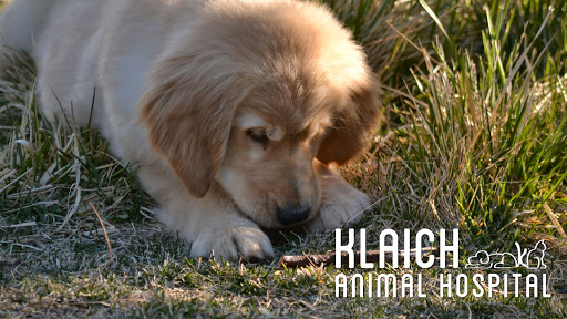 Klaich Animal Hospital