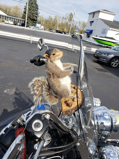 Harley-Davidson Dealer «American Harley-Davidson», reviews and photos, 1149 Erie Ave, North Tonawanda, NY 14120, USA