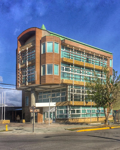 Opiniones de Municipalidad de Puerto Natales/Res Alca Lde en Puerto Natales - Asociación