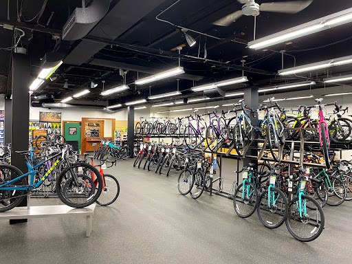 Bicycle Store «Freewheel Bike», reviews and photos, 1812 S 6th St, Minneapolis, MN 55454, USA