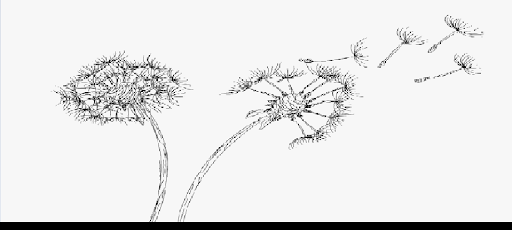 LCO Emergency Women’s Shelter