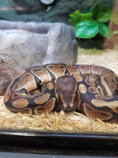 Pet Supply Store «Petco Animal Supplies», reviews and photos, 777 Stillwater Ave, Bangor, ME 04401, USA