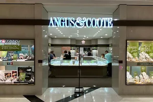 Angus & Coote image