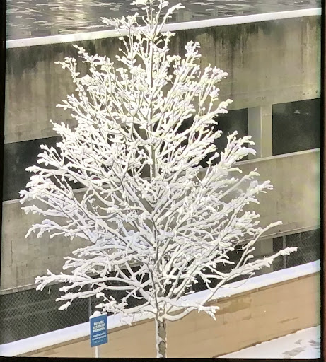 Auto Repair Shop «Lake Liberty», reviews and photos, 8550 Connecticut Ave, Chevy Chase, MD 20815, USA