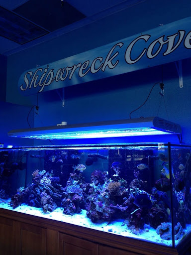 Tropical Fish Store «Shipwreck Cove Custom Aquariums», reviews and photos, 215 S El Camino Real, Encinitas, CA 92024, USA