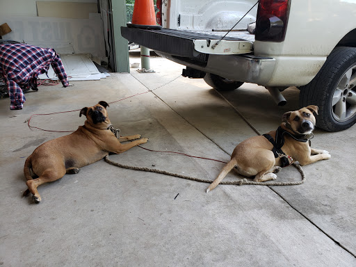 Sign Shop «Southern Star Signs & Graphics», reviews and photos, 22285 Ford Rd Suite 100, Porter, TX 77365, USA