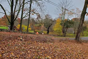 Flanders Nature Center & Land Trust image