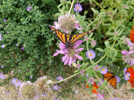 Golf Club «Pinecrest Golf Club», reviews and photos, 212 Prentice St, Holliston, MA 01746, USA