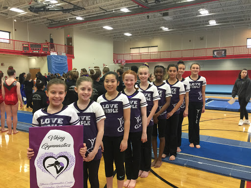 Gymnastics Center «Viking Gymnastics Club», reviews and photos, 7779 N Caldwell Ave, Niles, IL 60714, USA