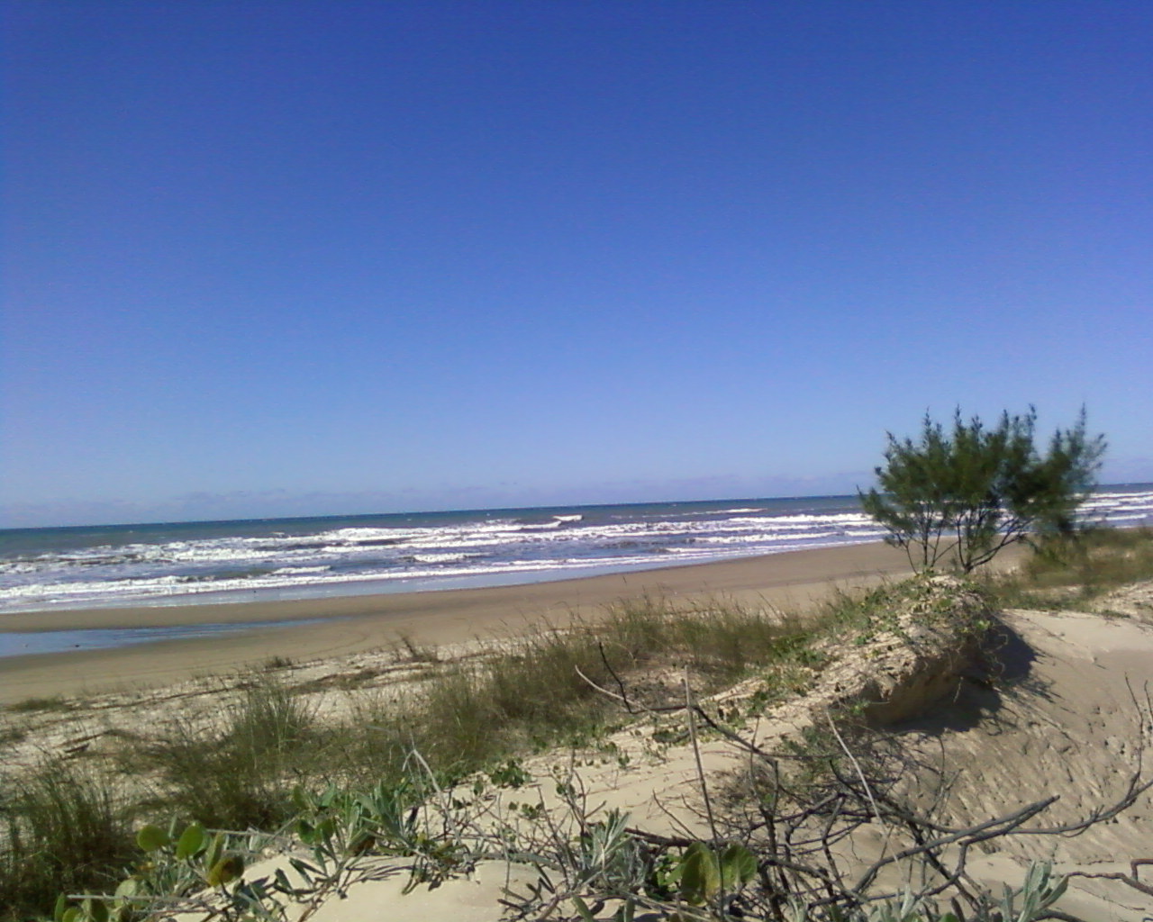 Foto de Praia Rondinha Nova - lugar popular entre os apreciadores de relaxamento