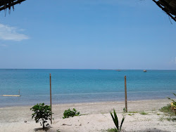 Punta Baja Beach'in fotoğrafı vahşi alan