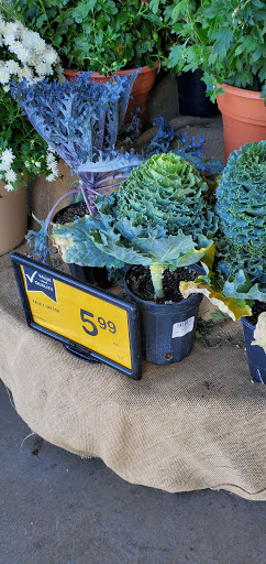 Grocery Store «Albertsons», reviews and photos, 3301 W Cherry Ln, Meridian, ID 83642, USA