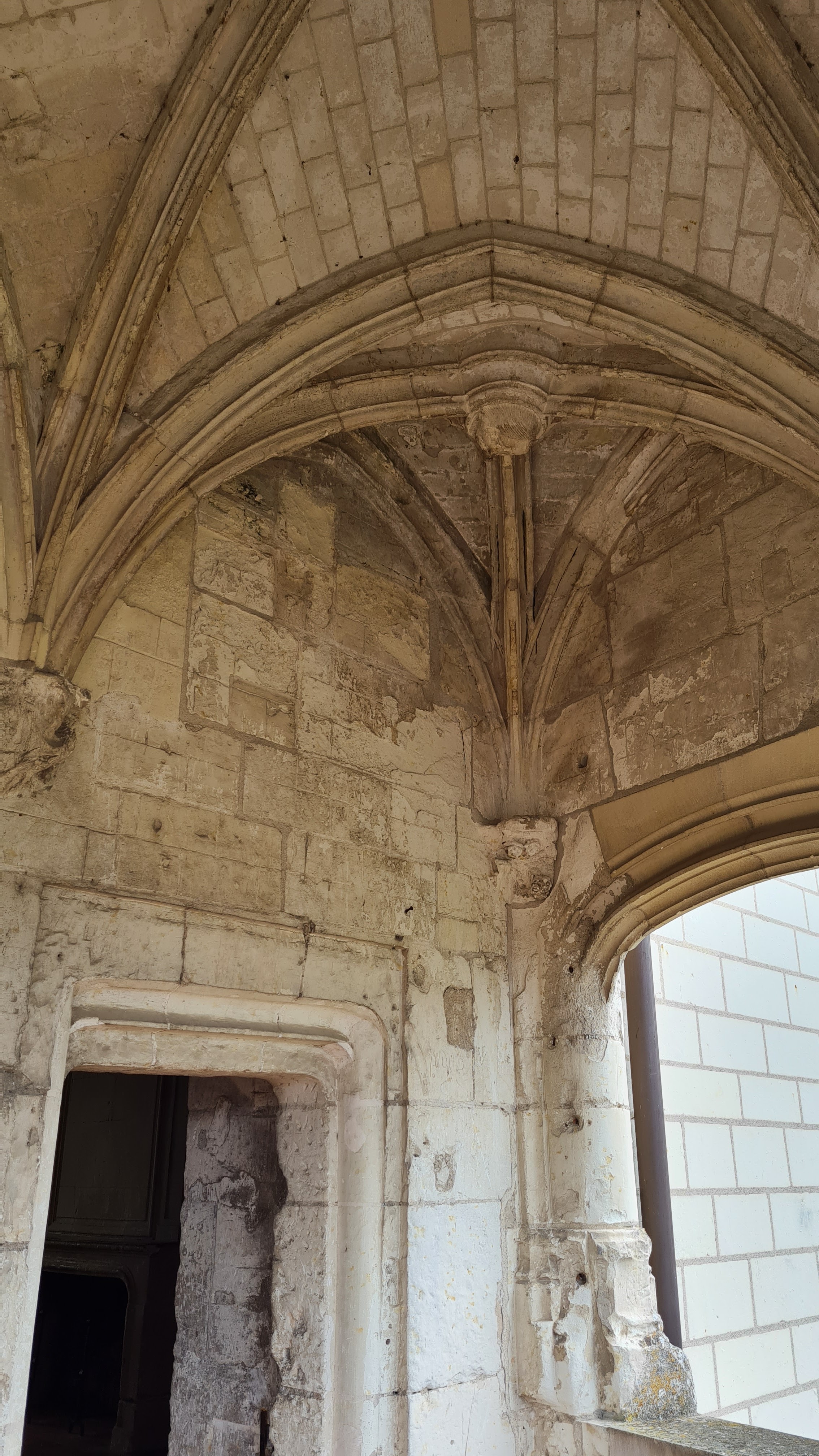 Photo n° 24 de l'avis de Marie.a fait le 20/02/2022 à 17:48